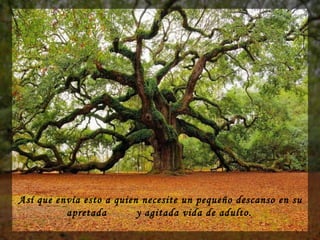 Así que envía esto a quien necesite un pequeño descanso en su
apretada y agitada vida de adulto.
 