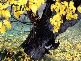 Te acuerdas &amp;&amp;_crist