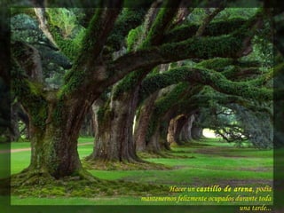 Hacer un castillo de arena, podía
mantenernos felizmente ocupados durante toda
una tarde...
 
