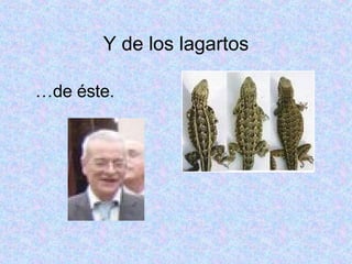 Y de los lagartos … de éste. 