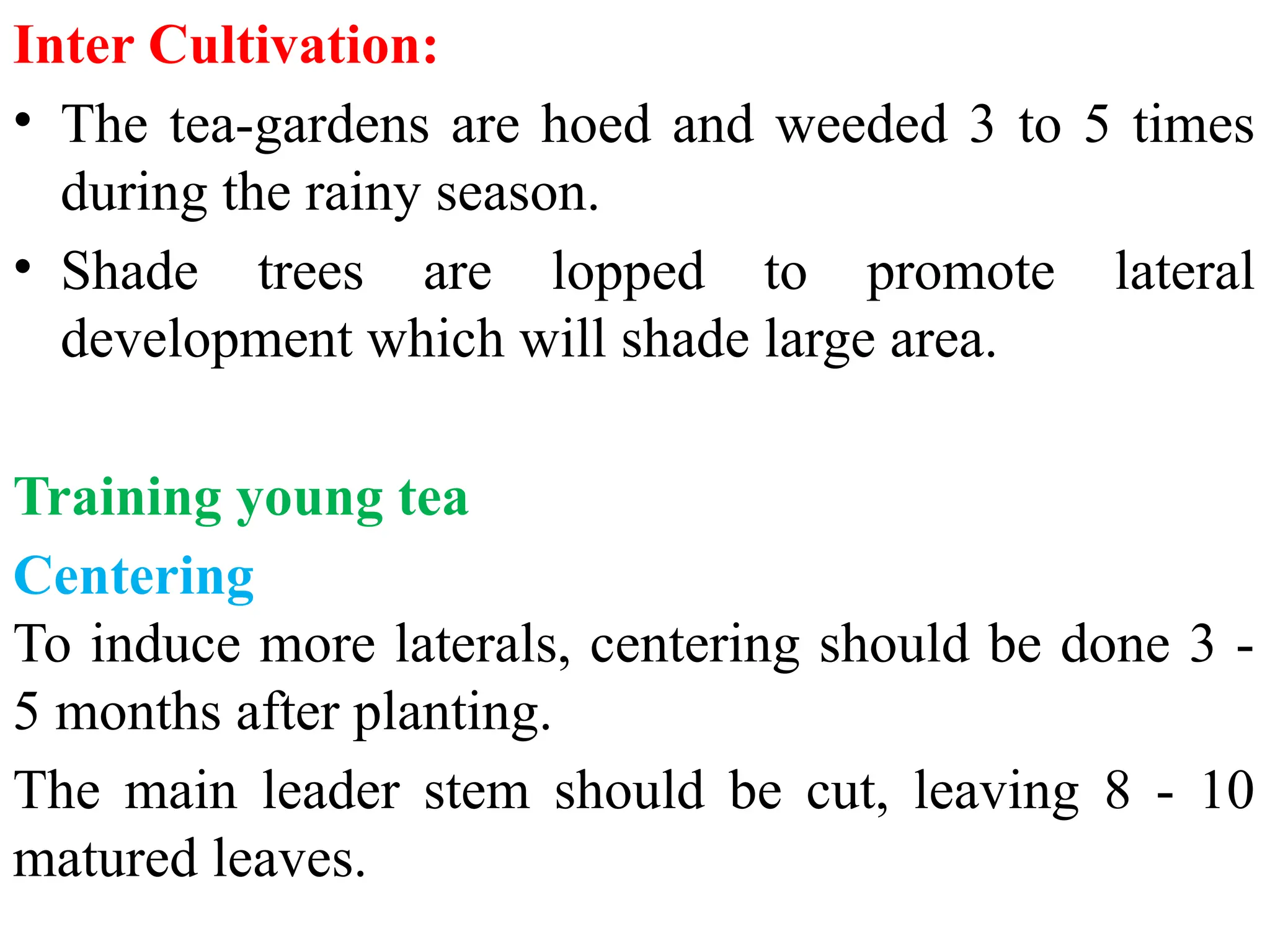 Tea Cultivation And Processing In Nepal Pptx