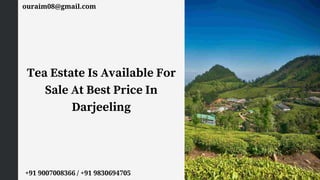 Tea Estate Is Available For
Sale At Best Price In
Darjeeling
ouraim08@gmail.com
+91 9007008366 / +91 9830694705
 