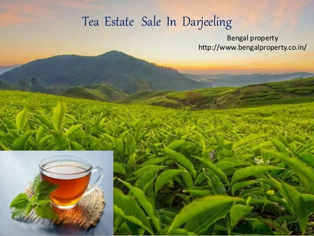 Tea Estate Sale In Darjeeling
Bengal property
http://www.bengalproperty.co.in/
 