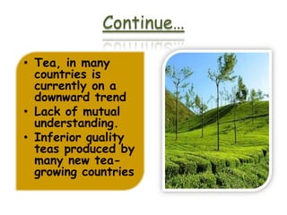 Tea export | PPTX