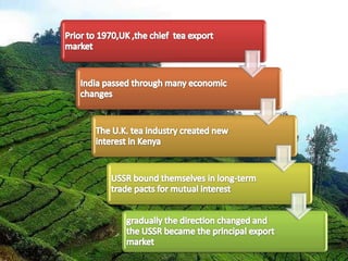 Tea export | PPTX