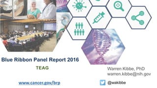Blue Ribbon Panel Report 2016
TEAG
www.cancer.gov/brp
Warren Kibbe, PhD
warren.kibbe@nih.gov
@wakibbe
 