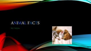 ANIMAL FACTS 
BY Teagan 
 