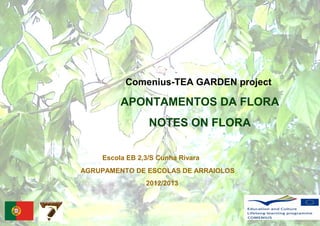 Comenius-TEA GARDEN project
APONTAMENTOS DA FLORA
NOTES ON FLORA
AGRUPAMENTO DE ESCOLAS DE ARRAIOLOS
2012/2013
Escola EB 2,3/S Cunha Rivara
 