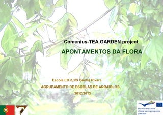 Comenius-TEA GARDEN project
APONTAMENTOS DA FLORA
AGRUPAMENTO DE ESCOLAS DE ARRAIOLOS
2012/2013
Escola EB 2,3/S Cunha Rivara
 