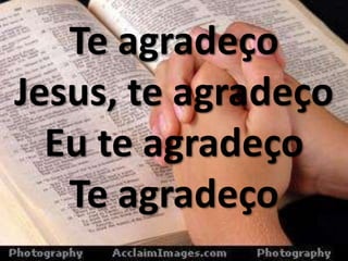 Te agradeço
Jesus, te agradeço
Eu te agradeço
Te agradeço