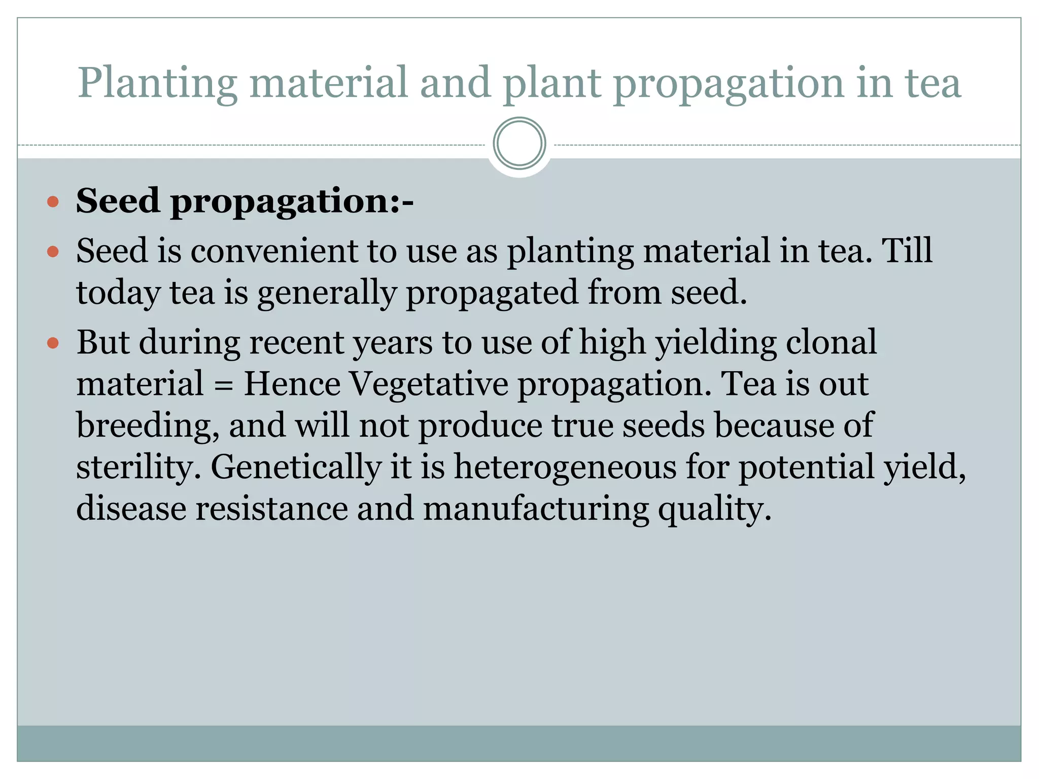 Cultivation Practices of Tea. | PPTX