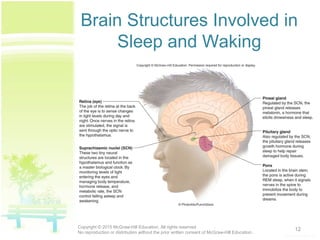 Brain Structures Involved in
Sleep and Waking
12Copyright © 2015 McGraw-Hill Education. All rights reserved.
No reproduction or distribution without the prior written consent of McGraw-Hill Education.
 