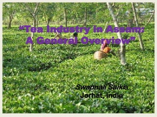 “Tea Industry in Assam:
 A General Overview”



          Swapnali Saikia
           Jorhat, India
 