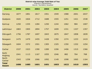 Tea industry in assam | PPTX