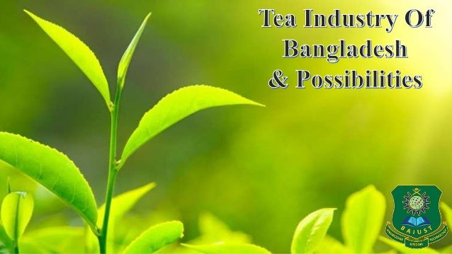 tea business plan in bangladesh
