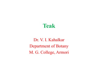 Teak
Dr. V. I. Kahalkar
Department of Botany
M. G. College, Armori
 