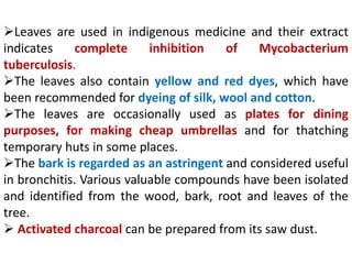 ➢Leaves are used in indigenous medicine and their extract
indicates complete inhibition of Mycobacterium
tuberculosis.
➢The leaves also contain yellow and red dyes, which have
been recommended for dyeing of silk, wool and cotton.
➢The leaves are occasionally used as plates for dining
purposes, for making cheap umbrellas and for thatching
temporary huts in some places.
➢The bark is regarded as an astringent and considered useful
in bronchitis. Various valuable compounds have been isolated
and identified from the wood, bark, root and leaves of the
tree.
➢ Activated charcoal can be prepared from its saw dust.
 