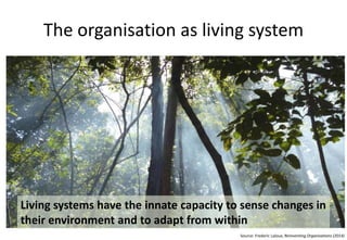 The organization as living system
Living systems have the innate capacity to sense changes in
their environment and to adapt from within
Source: Frederic Laloux, Reinventing Organisations (2014)
 