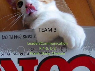 TEAM 3 Leader/Communication R 4-5, D 3Frank, Dany, Chelsea 