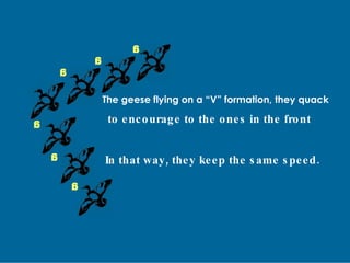 g g g g g g The geese flying on a “V” formation, they quack to encourage to the ones in the front In that way, they keep the same speed. 