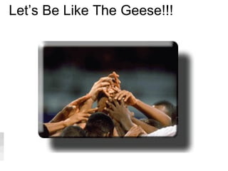 Let’s Be Like The Geese!!! 