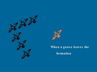 When a goose leaves the  formation 