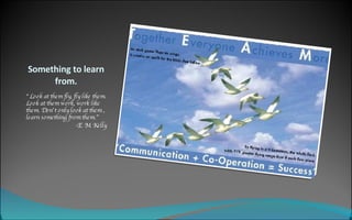 Something to learn from. “ Look at them fly, fly like them. Look at them work, work like  them. Don’t only look at them , learn something from them.”   -E. M. Kelly 