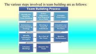 The various steps involved in team building are as follows:
 