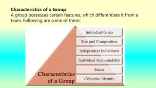 Characteristics of a Group
A group possesses certain features, which differentiate it from a
team. Following are some of these:
 
