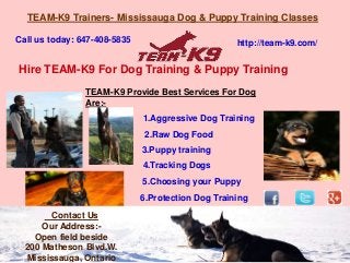 TEAM-K9 Trainers- Mississauga Dog & Puppy Training Classes
Call us today: 647-408-5835 http://team-k9.com/
Hire TEAM-K9 For Dog Training & Puppy Training
TEAM-K9 Provide Best Services For Dog
Are:-
1.Aggressive Dog Training
3.Puppy training
4.Tracking Dogs
5.Choosing your Puppy
6.Protection Dog Training
Contact Us
Our Address:-
Open field beside
200 Matheson Blvd.W.
Mississauga, Ontario
2.Raw Dog Food
 