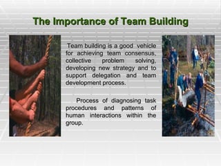 The Importance of Team Building Team building is a good  vehicle for achieving team consensus, collective problem solving, developing new strategy and to support delegation and team development process. Process of diagnosing task procedures and patterns of human interactions within the group.  