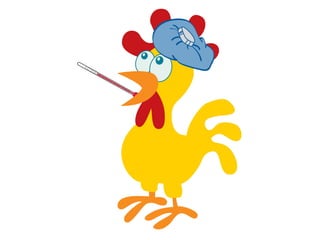 BRF: The Brazilian Meat Scandal | PDF