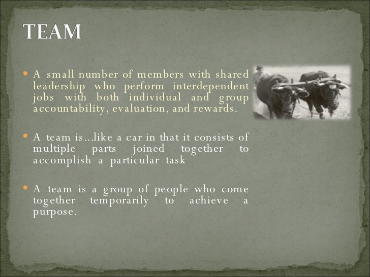 thank you letter to the team members team vs thank you letter to the team members team vs
