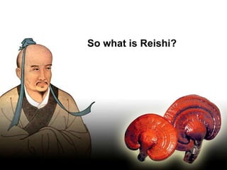 So what is Reishi? 
