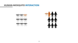 10
HUMAN-MOSQUITO INTERACTION
 
