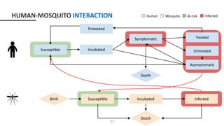 Susceptible Incubated Infected
Death
Birth
InfectedHuman Mosquito At-risk
Symptomatic
Susceptible
Protected
Untreated
Treated
Asymptomatic
Incubated
Death
HUMAN-MOSQUITO INTERACTION
11
 