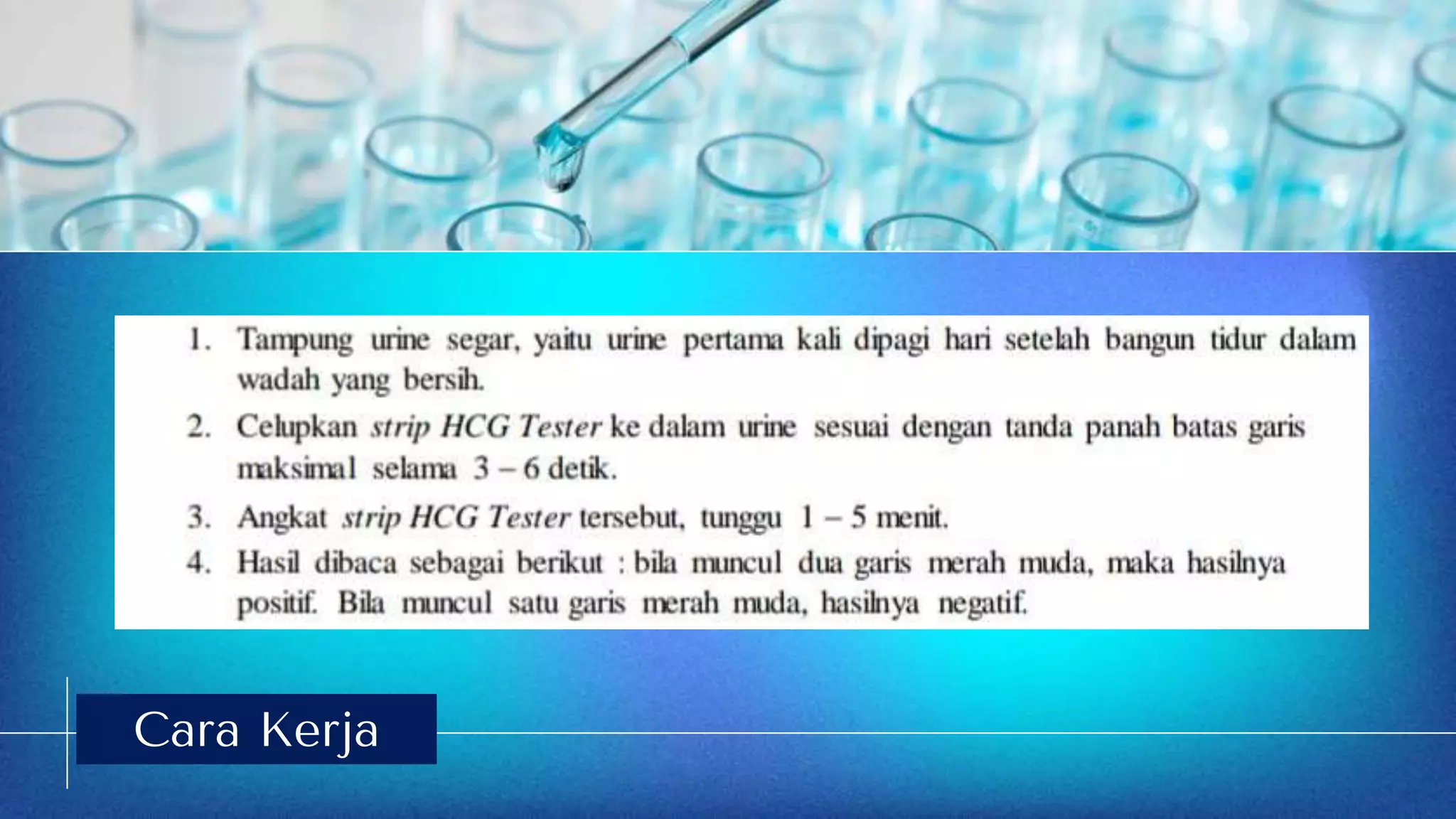 Urine Experiment | PPTX