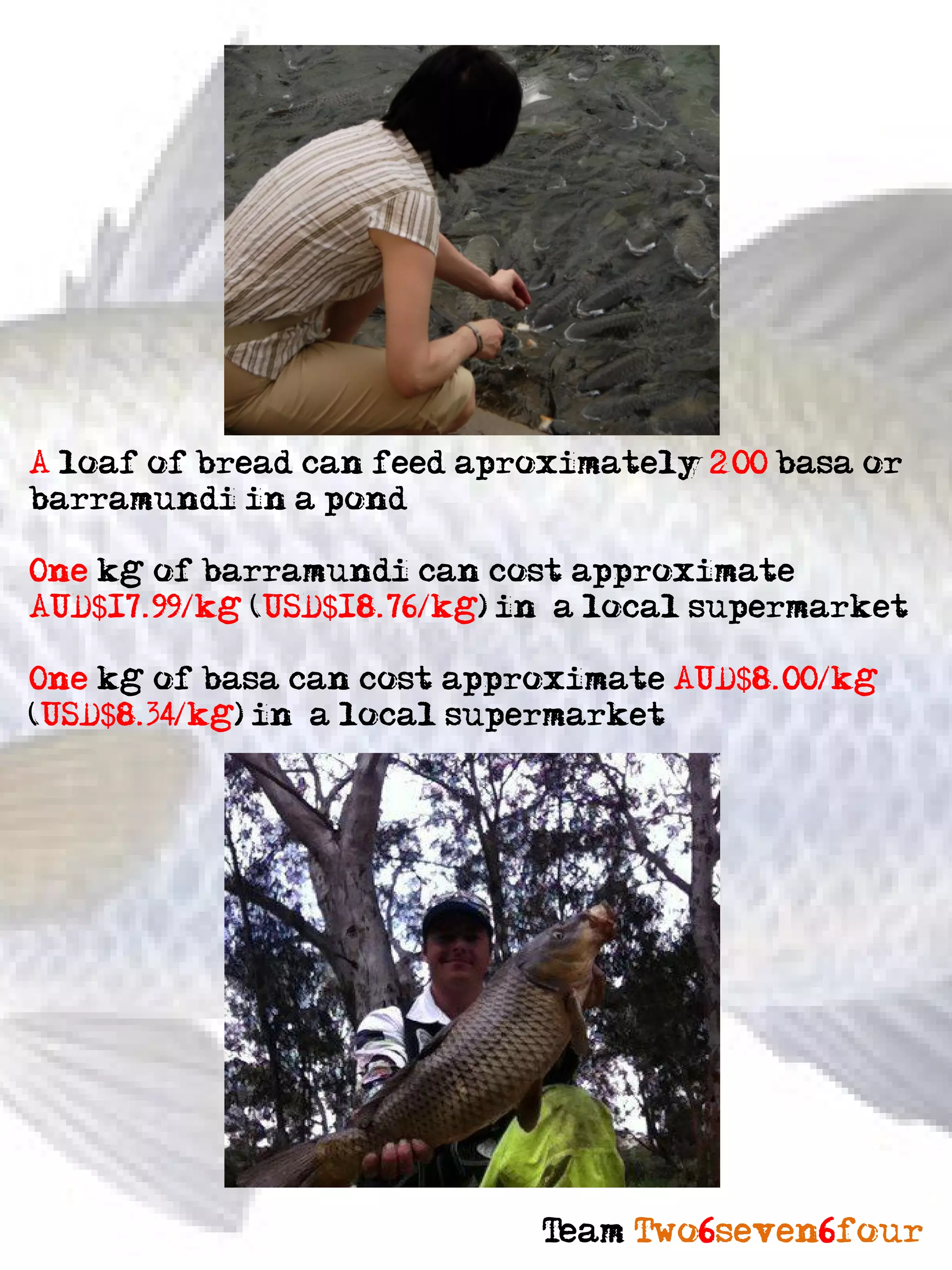 A loaf of bread can feed aproximately 200 basa or
barramundi in a pond

One kg of barramundi can cost approximate
AUD$17.99/kg (USD$18.76/kg) in a local supermarket

One kg of basa can cost approximate AUD$8.00/kg
(USD$8.34/kg) in a local supermarket




                             Team Two6seven6four
 