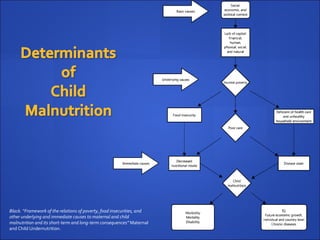 Black. “Framework of the relations of poverty, food insecurities, and
other underlying and immediate causes to maternal and child
malnutrition and its short-term and long-term consequences” Maternal
and Child Undernutrition.
 