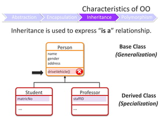 Scientific Names of the cat’s body parts