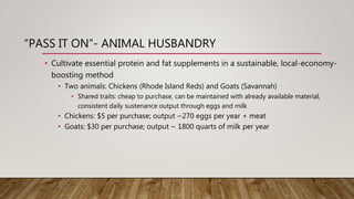 “PASS IT ON”- ANIMAL HUSBANDRY
• Cultivate essential protein and fat supplements in a sustainable, local-economy-
boosting method
• Two animals: Chickens (Rhode Island Reds) and Goats (Savannah)
• Shared traits: cheap to purchase, can be maintained with already available material,
consistent daily sustenance output through eggs and milk
• Chickens: $5 per purchase; output ~270 eggs per year + meat
• Goats: $30 per purchase; output ~ 1800 quarts of milk per year
 