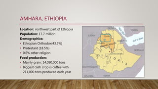 AMHARA, ETHIOPIA
Location: northwest part of Ethiopia
Population: 17.7 million
Demographics:
• Ethiopian Orthodox(43.5%)
• Protestant (18.5%)
• 0.6% other religion
Food production:
• Mainly grain: 14,090,000 tons
• Biggest cash crop is coffee with
211,000 tons produced each year
 