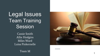 Cassie Smith
Allie Hodgins
Miles Ward
Luisa Pinkernelle
Team M
Legal Issues
Team Training
Session
1
 