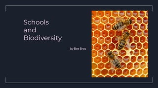 Schools
and
Biodiversity
by Bee Bros
 