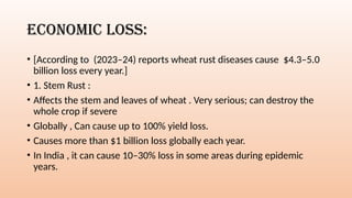TEAM 5 WHEAT RUST COMPLETE.pptx diseases | PPTX