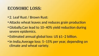 TEAM 5 WHEAT RUST COMPLETE.pptx diseases | PPTX