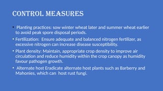 TEAM 5 WHEAT RUST COMPLETE.pptx diseases | PPTX
