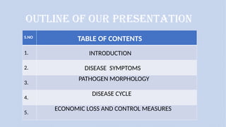 TEAM 5 WHEAT RUST COMPLETE.pptx diseases | PPTX