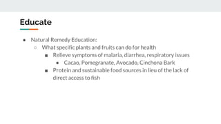 Educate
● Natural Remedy Education:
○ What specific plants and fruits can do for health
■ Relieve symptoms of malaria, diarrhea, respiratory issues
● Cacao, Pomegranate, Avocado, Cinchona Bark
■ Protein and sustainable food sources in lieu of the lack of
direct access to fish
 
