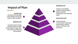 Impact of Plan
Community Level
Empowering the
community by creating job
opportunities, treating
common illnesses, and
educating.
3
National Level
The plans that are being
implemented by our NGO
can be utilized to help other
communities affected by
deforestation.
4
Individual Level
Impact on knowledge
regarding natural healing
agents, possible
employment, and individual
rights.
1
Family Level
Generational knowledge
being taught and passed
down to other members.
2
 